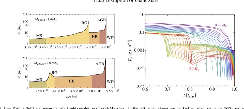 Figure from The Tidal Disruption of Giant Stars and their Contribution to the Flaring Supermassive Black Hole Population