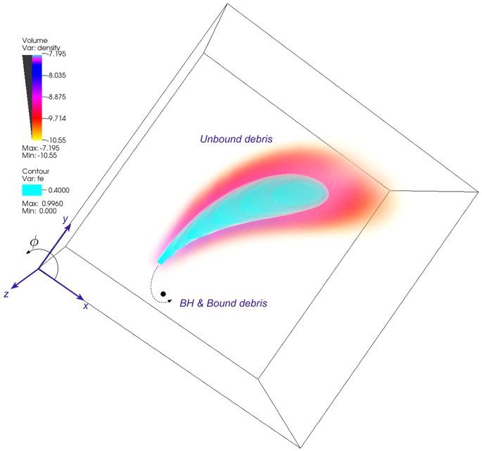 Figure from Optical Thermonuclear Transients from Tidal Compression of White Dwarfs as Tracers of the Low End of the Massive Black Hole Mass Function