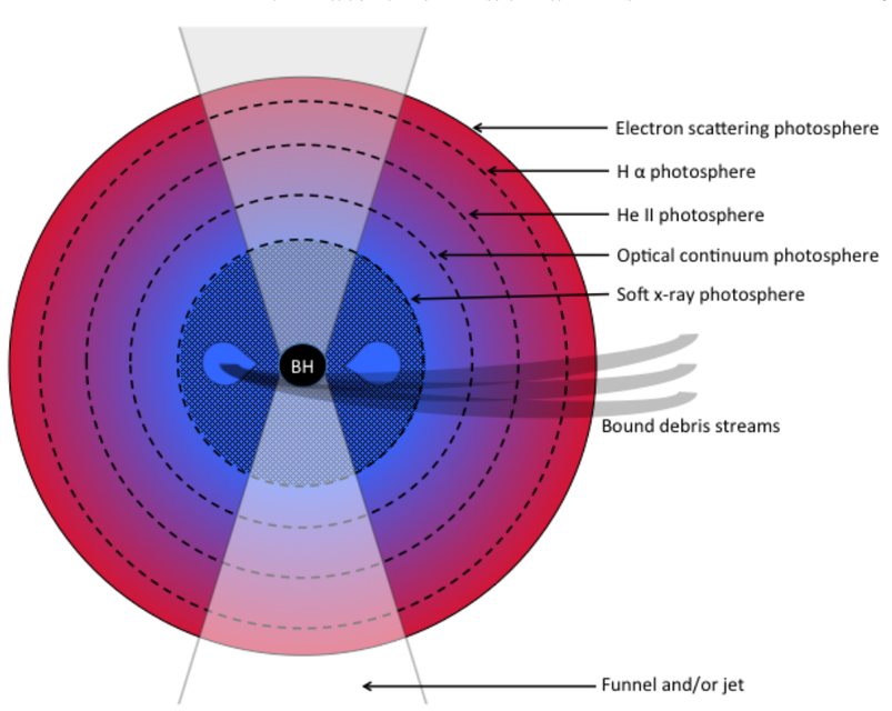 Figure from The X-Ray through Optical Fluxes and Line Strengths of Tidal Disruption Events