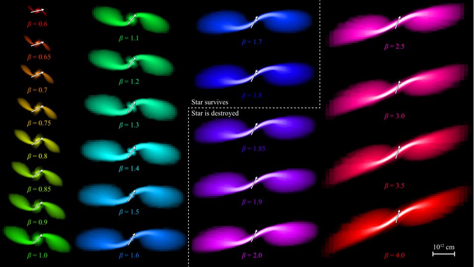 Grid of disrupted stars from grazing encounters that survive to deep encounters that destroy the star