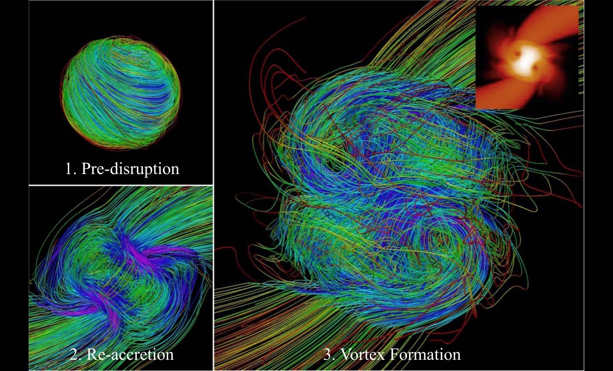 Magnetic field lines around a partially disrupted star, before the encounter, as debris falls back, and tangled into a vortex