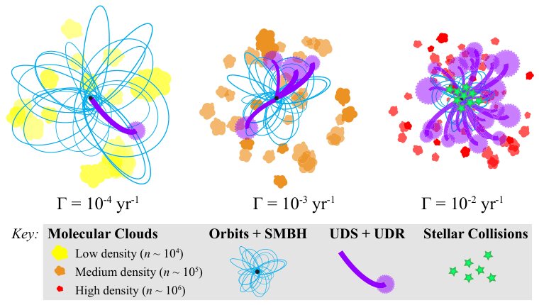 Nuclear star clusters at three disruption rates, with orbits, debris streams, and stellar collisions