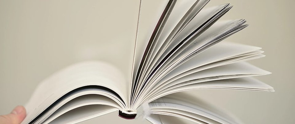 Pages of a book being riffled